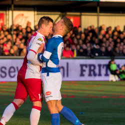 IJsselmeervogels - Spakenburg